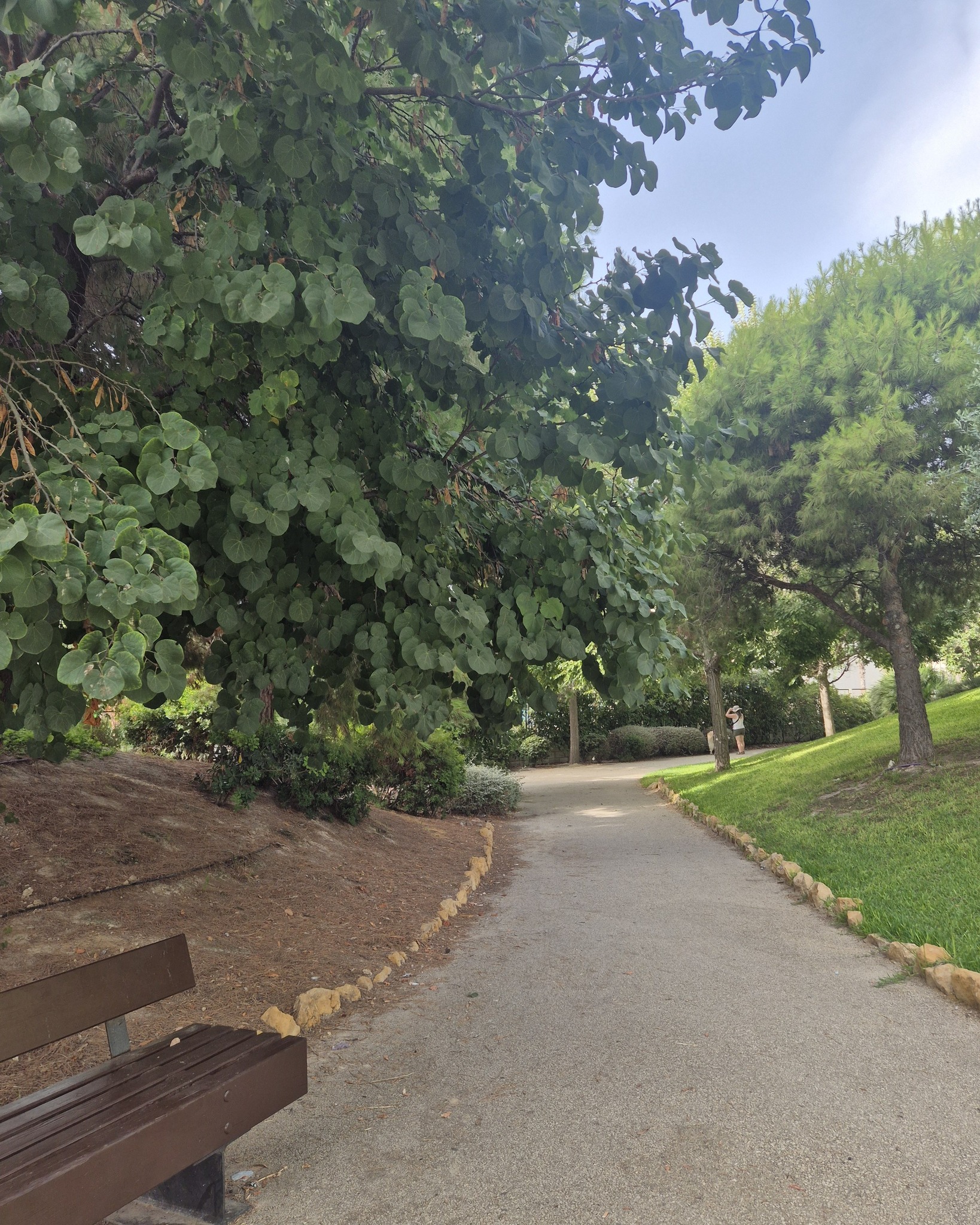 Sendero arbolado con un banco y abundante sombra en el Parque del Mar