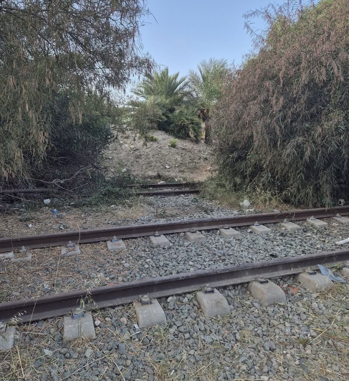 Vías abandonadas junto al Parque del Mar en primer plano