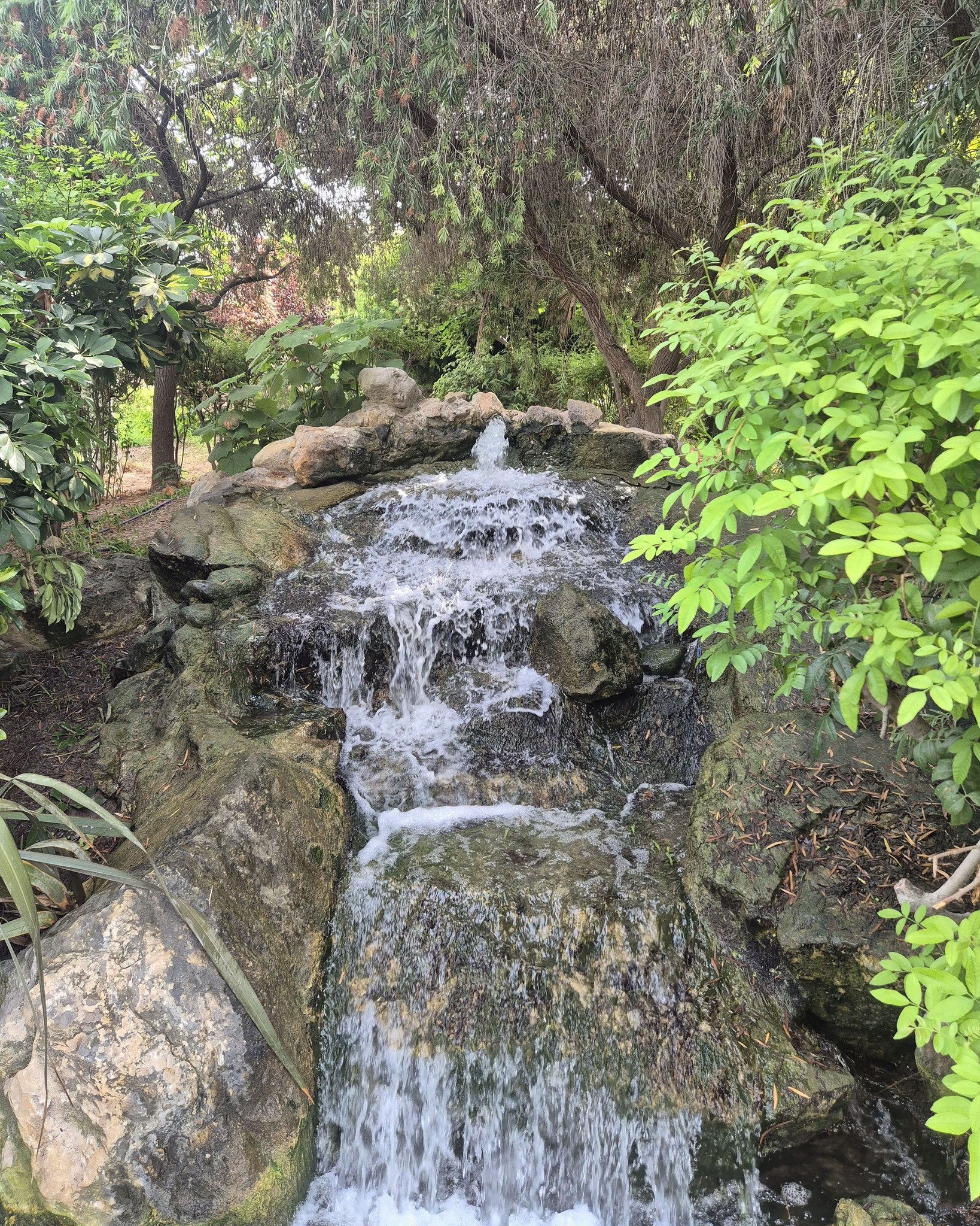 Cascada de rocas rodeada de vegetación en el Parque del Mar