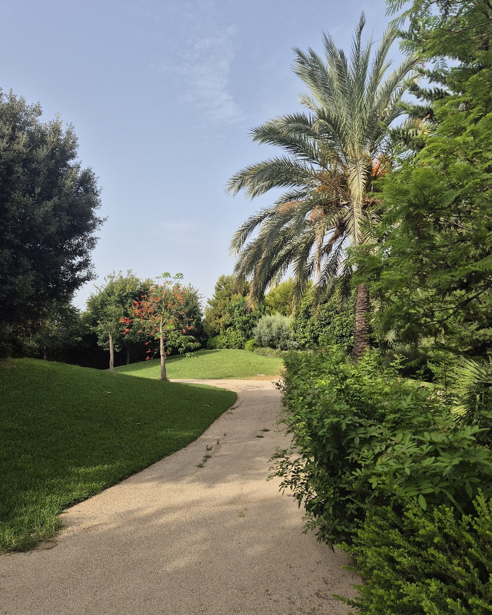 Sendero entre césped, árboles y una palmera en el Parque del Mar