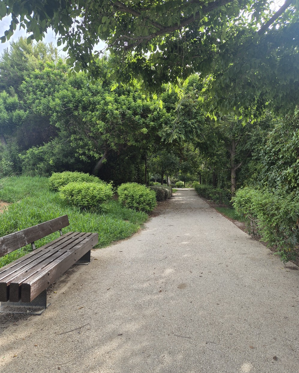 Banco junto a un sendero cubierto por la sombra de los árboles en el Parque del Mar
