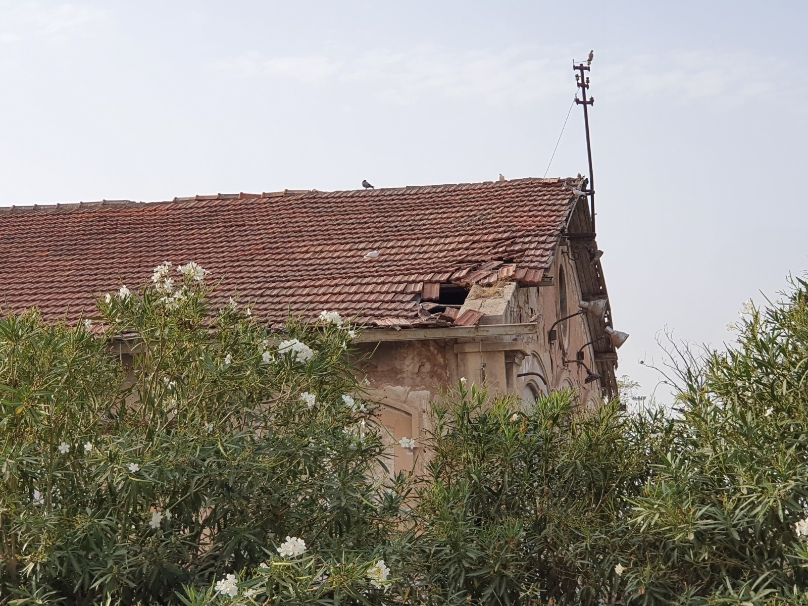 Detalle de la cubierta deteriorada del antiguo tinglado ferroviario junto a Casa Mediterráneo