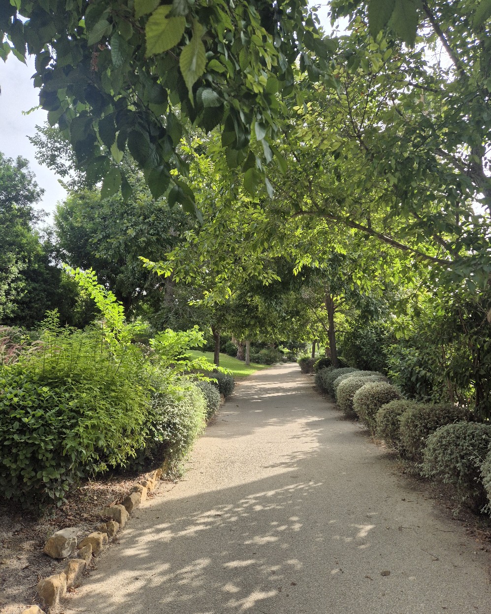 Camino sombreado entre árboles y arbustos en el Parque del Mar