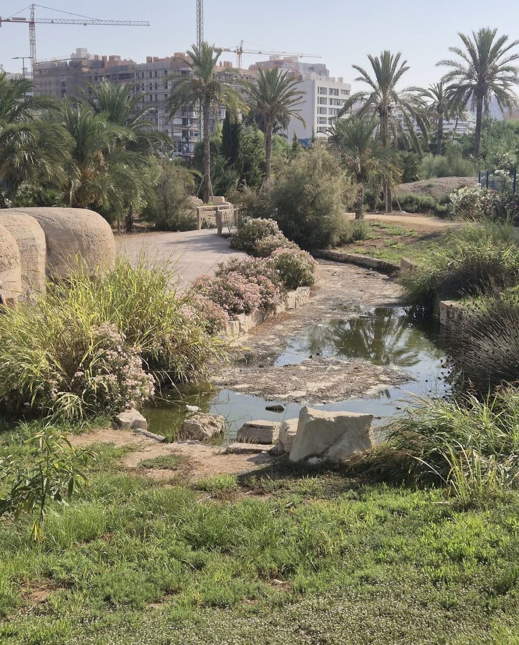 El Parque del Mar afronta septiembre con estanques secos y fauna en riesgo