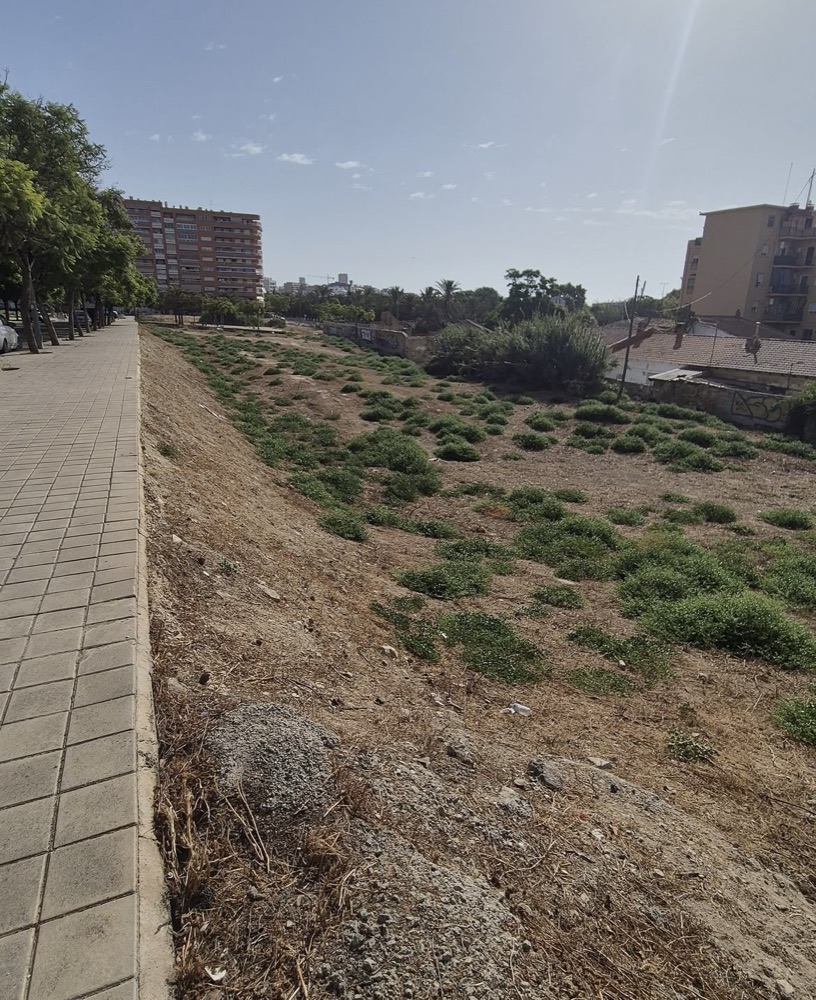 Pedimos al Ayuntamiento el registro de solares urbanos de Alicante